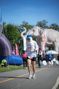 BIB: 
                            <button type="button" onclick="openModal(26542337)" class="btn btn-primary btn-sm float-right btn-popup" data-toggle="modal" data-target=".modal-high-quality">
                        <i class="fas fa-shopping-cart"></i> Add to Cart
                    </button>
                                            <button type="button" onclick="isThisMe(26542337, true)" class="btn btn-success btn-sm float-right btn-popup btn-isme hidden" data-toggle="tooltip" data-placement="bottom" title="นี่คือรูปของคุณใช่ไหม คลิกที่นี่เพื่อเอาเข้าอัลบั้ม">
                        <i class="fas fa-plus"></i> Add to album
                    </button>
                    <button type="button" onclick="isThisMe(26542337, false)" class="btn btn-warning btn-sm float-right btn-popup btn-isnotme hidden">
                        <i class="fas fa-ban"></i> Remove from album
                    </button>